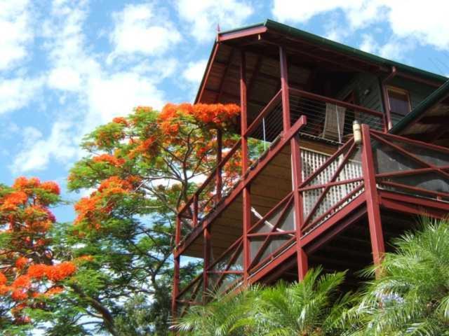 Tropical Retreat Bed & Breakfast